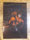Spider-Man #1 Mexican Foil McFarlane