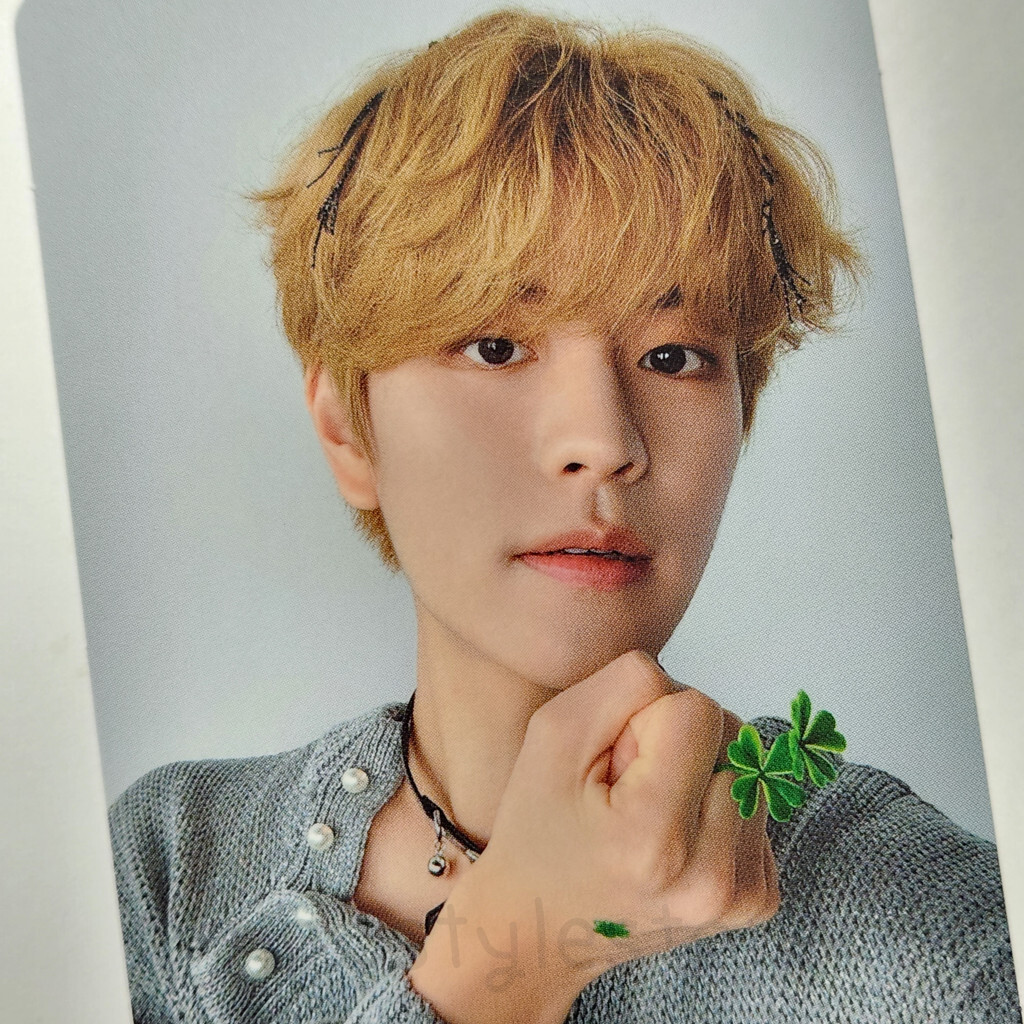 Stray Kids Seungmin Photocard C Social Path JAPAN 1st EP
