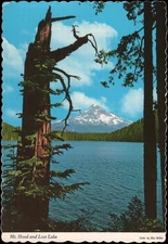 unused PPC, Mt. Hood, OR