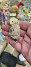 Vintage Steiff Miniature Real Stuffed Mouse Made in West Germany