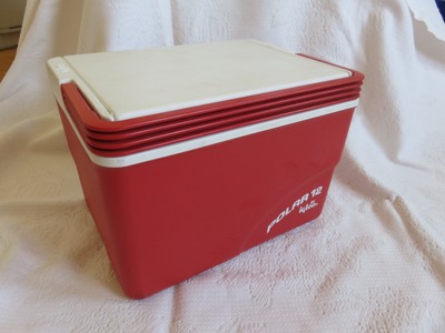 Mini Kühlbox - Mittelgroß, ideal für Picknick und Tagesausflüge. 