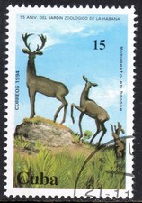 CARIBBEAN used    13/4