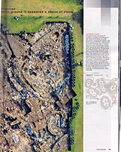 Smithsonian Magazin Februar 2025 kleinster Affe der Welt, Steinzeitgeheimnisse + - Bild 13 von 18
