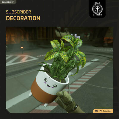 Star Citizen - RSI Subscriber Store | All Decoration Items