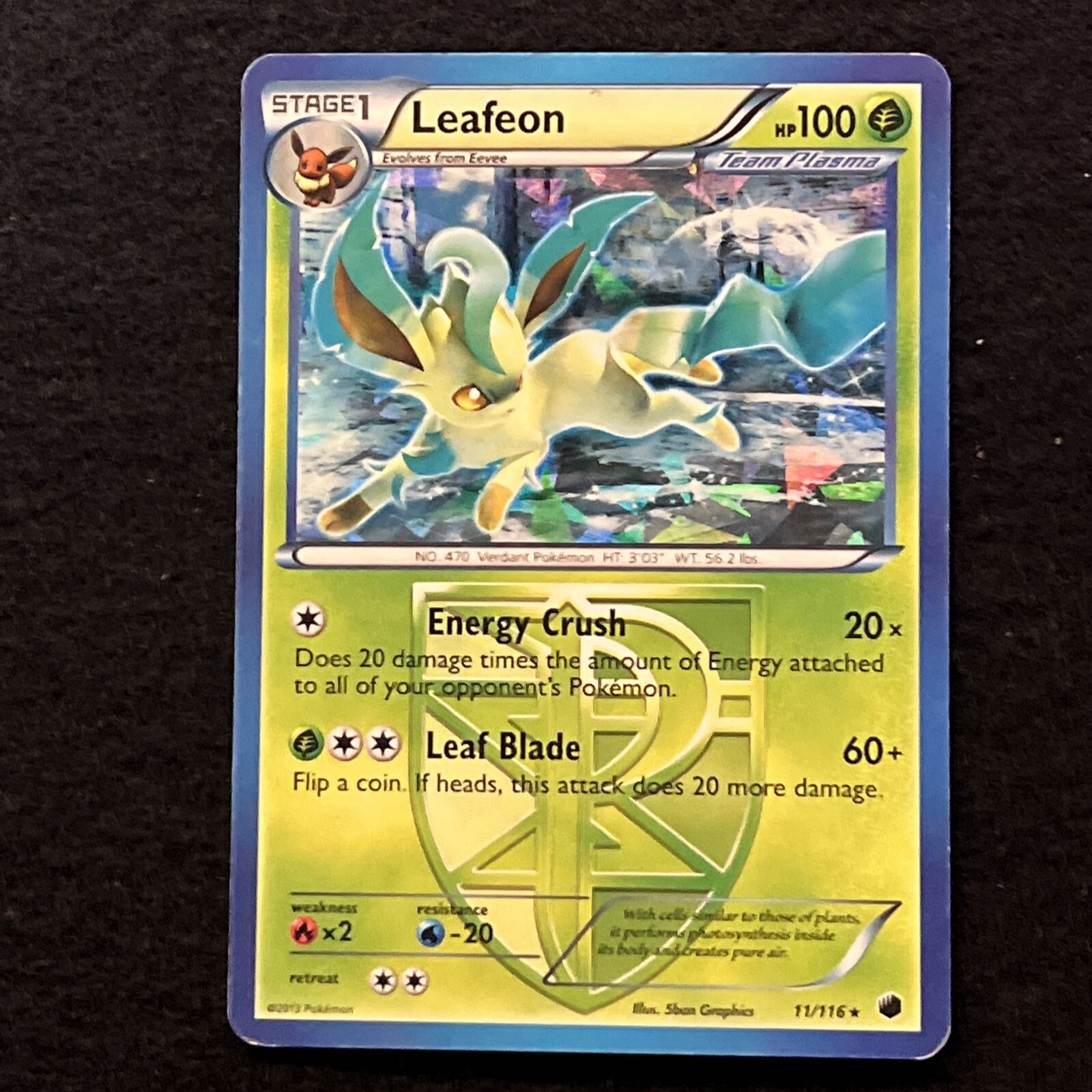 Pokemon LEAFEON 11/116 (Cracked Ice Holo) Team Plasma - LP/Light Play