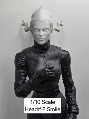 3d Print FRANKENSTEIN'S BRIDE HEAD#2. 1:10 7''  SELECT DC MULTIVERSE