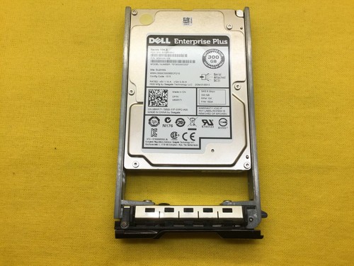 Disque Dur Dell 300GB 15K SAS 6G 2.5 SFF 8WR71 Pour EqualLogic - Renouvelé