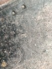 Bild 13 von 18