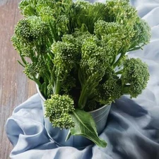 2000 Broccoli Seeds Waltham 29  Seeds Non-GMO Heirloom | USA Seller