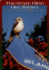 Oklahoma State Bird Scissortailed Flycatcher ~ unused postcard sku247