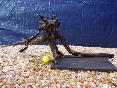 X-Large Driftwood Mounted on Slate 11''x26''x18'' Aquarium Reptile Natural Art