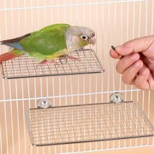 Parrot Perch Platform Grinding Claws Stainless Shelf Stand for Cockatiels