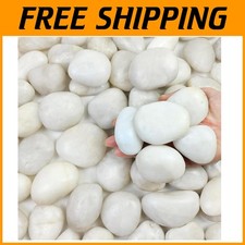 White Pebbles for Vase and Outdoor Decor - 20 lbs