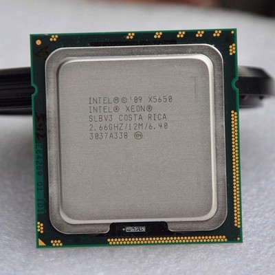   Xeon X5650 2.66 GHz Six Core L3 12M Processor LGA1366 SLBV3 CPU #zn