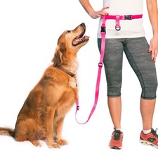The Buddy System Hands Free Dog Leash for Running, Jogging, and Walking Pets