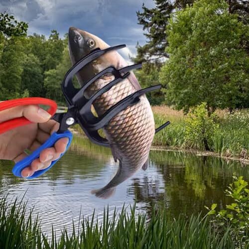 classic fly fishing reel Redington Trout – Lightweight Click-and-Pawl Trout Reel, Large Arbor, CNC Machined Aluminum – 2/3/4 – Black : Sports & Outdoors budget reels fishing reel Archives - Model:PIC28ML The UL model provides