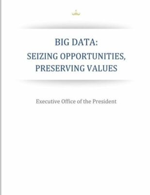 Big Data: Seizing Opportunities, Preserving Values