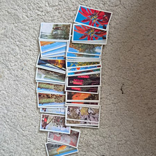 Lyons Tea Australia Series Original Pre-WW2 UK Issue Loose Tea Cards Lot x48