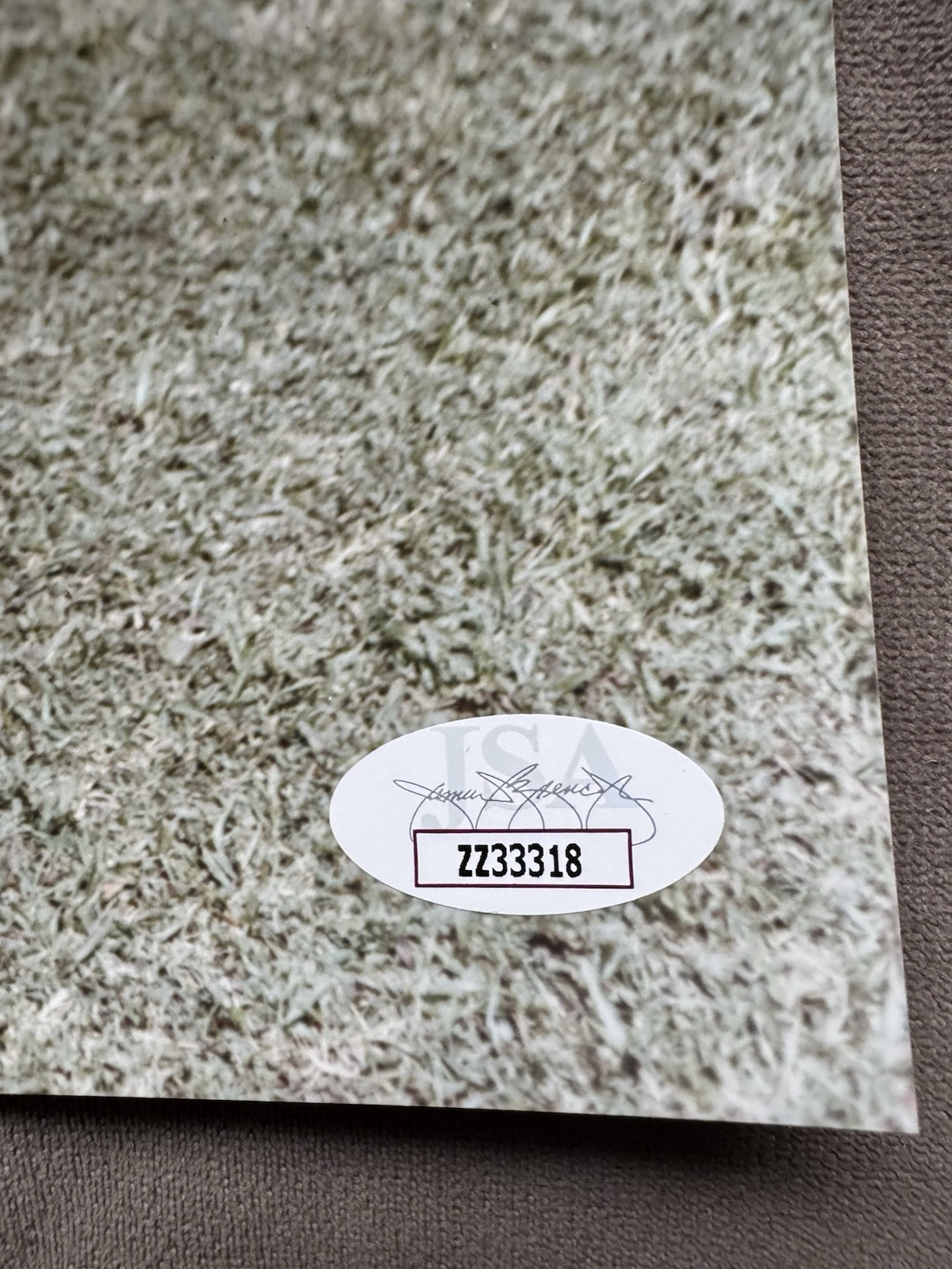 Ted Williams Signed  8x10 Photo Boston Red Sox JSA Authenticated LOA MLB HOF