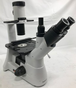 AmScope IN300TC Inverted Fluorescent Trinocular Laboratory Microscope