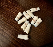 Nissin Kilgore Dental Typodont Teeth (Tooth #12)