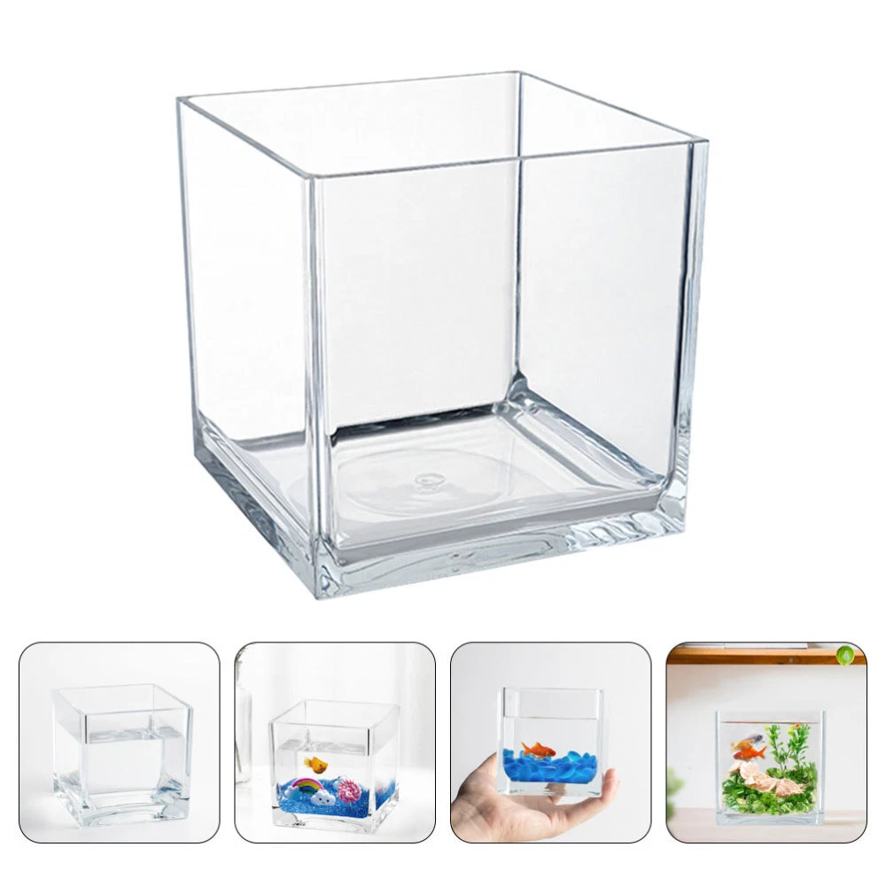 5 gallon store fish bowl
