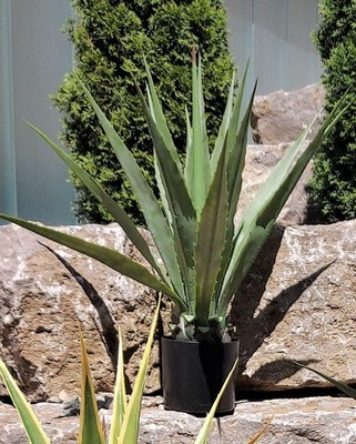 artplants Künstliche Agave furcraea gigantea Cherie, grün-grau, 100cm