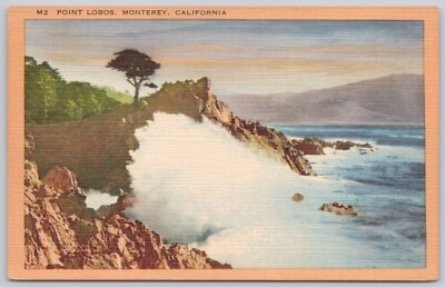 Monterey California Linen Postcard Lobos National Park