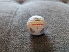 Picture 5 of 16