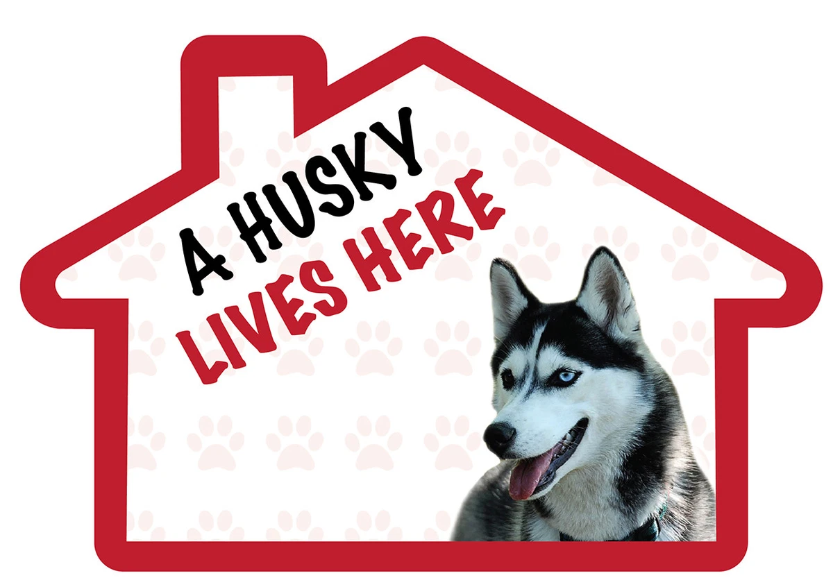 Husky dog best sale house