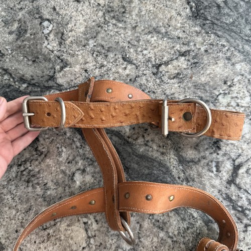 Spiked Studded Leather Dog Harness - Pitbull Mastiff Big Dog Terrier - Picture 6 of 13