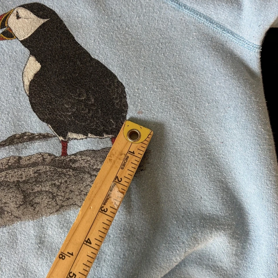 Sudadera De Colección Años 80 Hanes Puffins Animal Raglán Azul Claro Juvenil Grande Foto 4 de 4