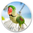 2 x Vinyl Stickers 30cm - Parakeet Parrot at a Tropical Beach  #45988