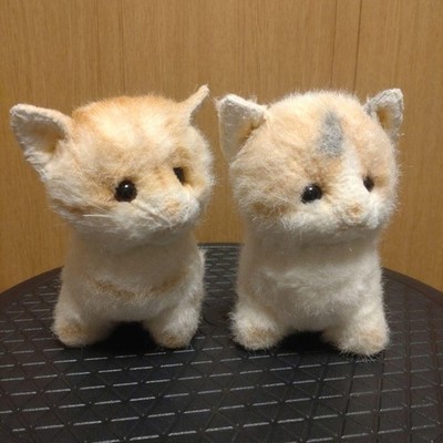 Lively lovely cat #57ba20