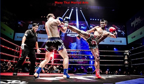 Guantoni da boxe speciali MMA Twins in pelle Muay Thai Made TH originali BGVL6 taglia 8-16 oz - Foto 4 di 14