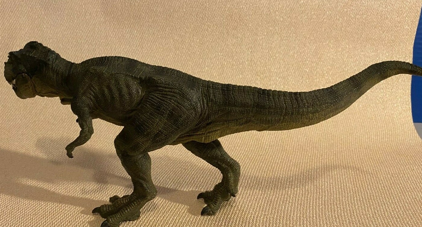 Picture 6 of 11
