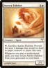 Dissension Aurora Eidolon MTG Magic the Gathering NM