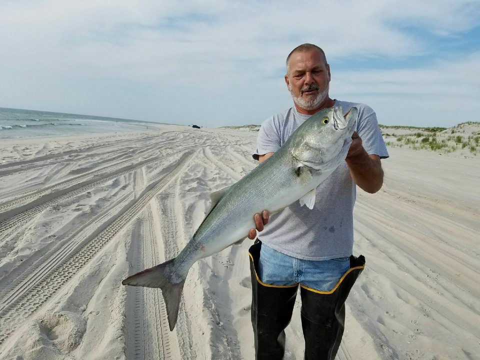 Heavy Wire ( Bluefish - Muskie - Gar ) Rigs Leaders Pike Musky Pickerel ...