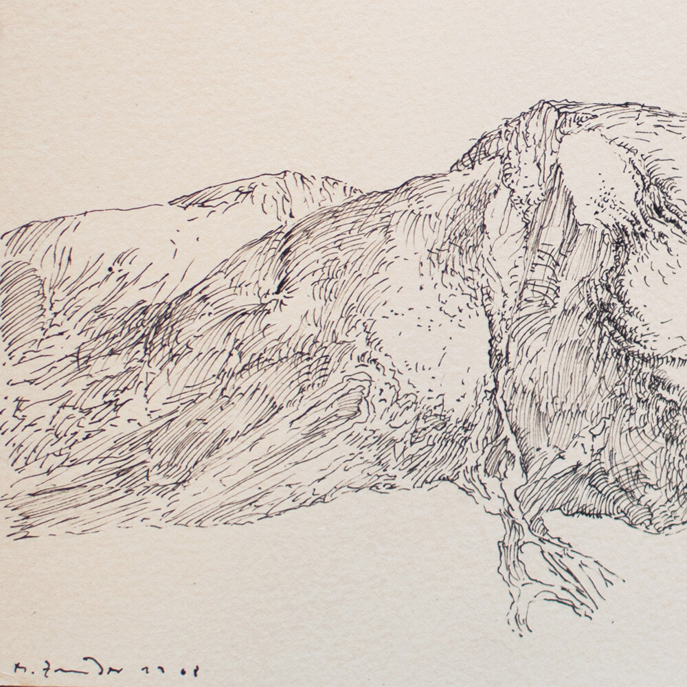 Heinz Zander Hügel Landschaft Zeichnung Tinte signiert 1968
