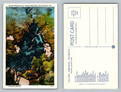 #ad #ad Ocala FL Florida Silver Springs Blue Grotto Underwater View Vintage Postcard $0.99