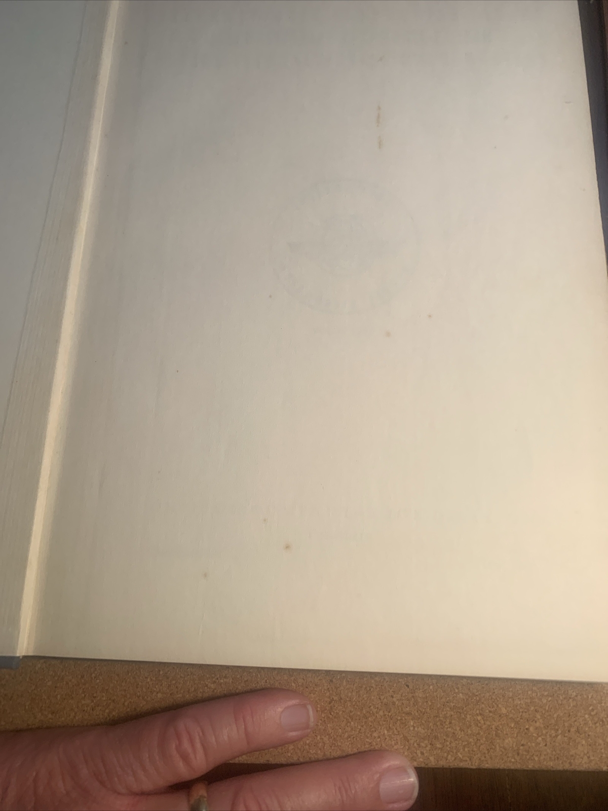 Picture 13 of 21