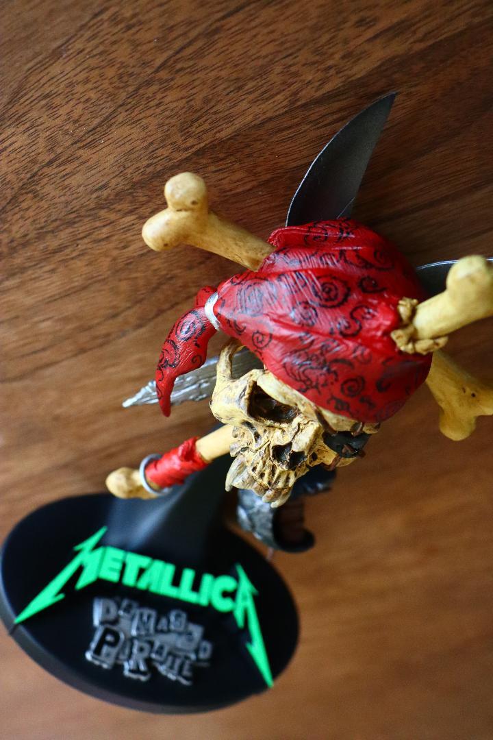 Metallica Damaged Pirate 2003 | eBay