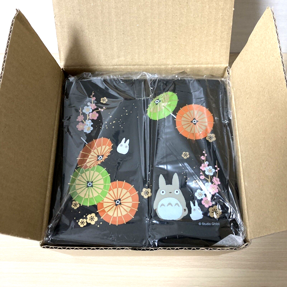 Studio Ghibli My Neighbor Totoro 2-tier Stacked Box Japanese Bento