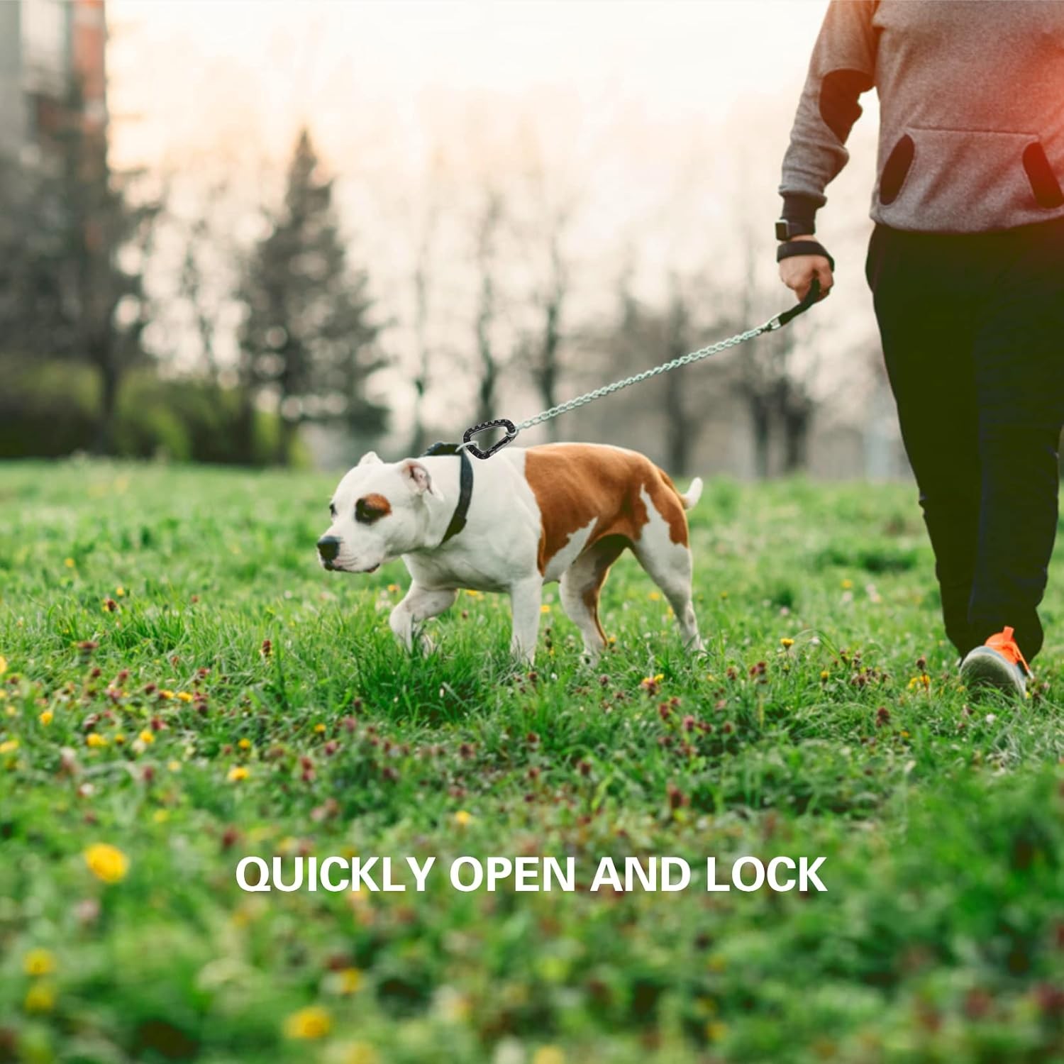 16 Pack Tactical Carabiners Keychain D Rings Spring Snap Gear Black, Black 