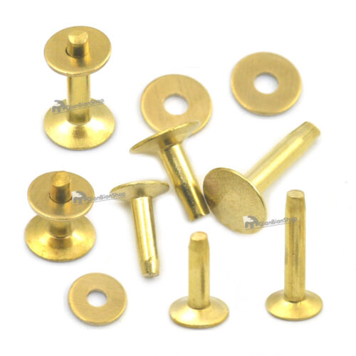 Brass Rivet & Burrs Permanent Gauge Horse Tack Washer Leather Craft Fasteners - 第 1/4 張圖片