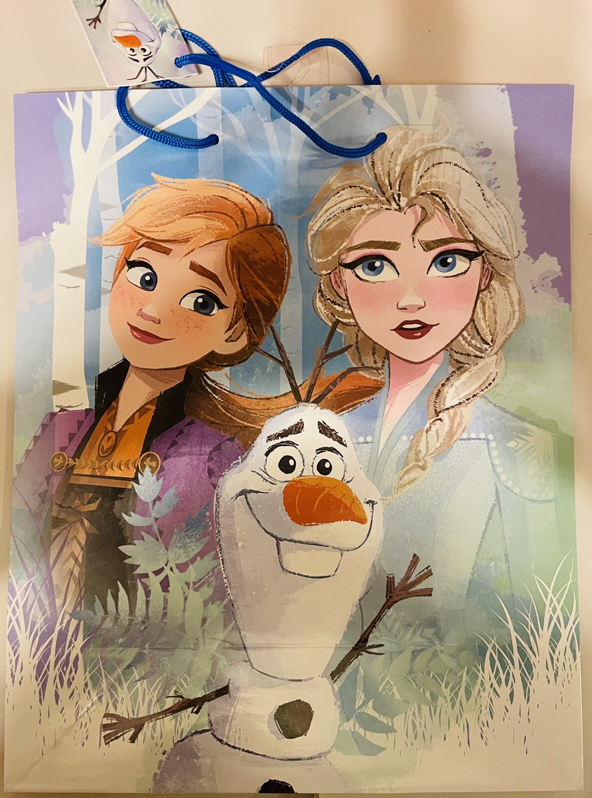 Disney Frozen Gift Bag 13 Inches Elsa Anna Olaf Frozen 2 | Ebay