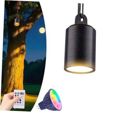 Color Changing Outdoor Pendant Light, 12V Low Voltage Hanging Light, Brass 