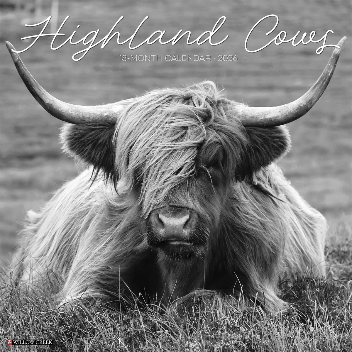 Black & White Highland Cows Calendar 2026, Wall Calendars, Month To View, Gift