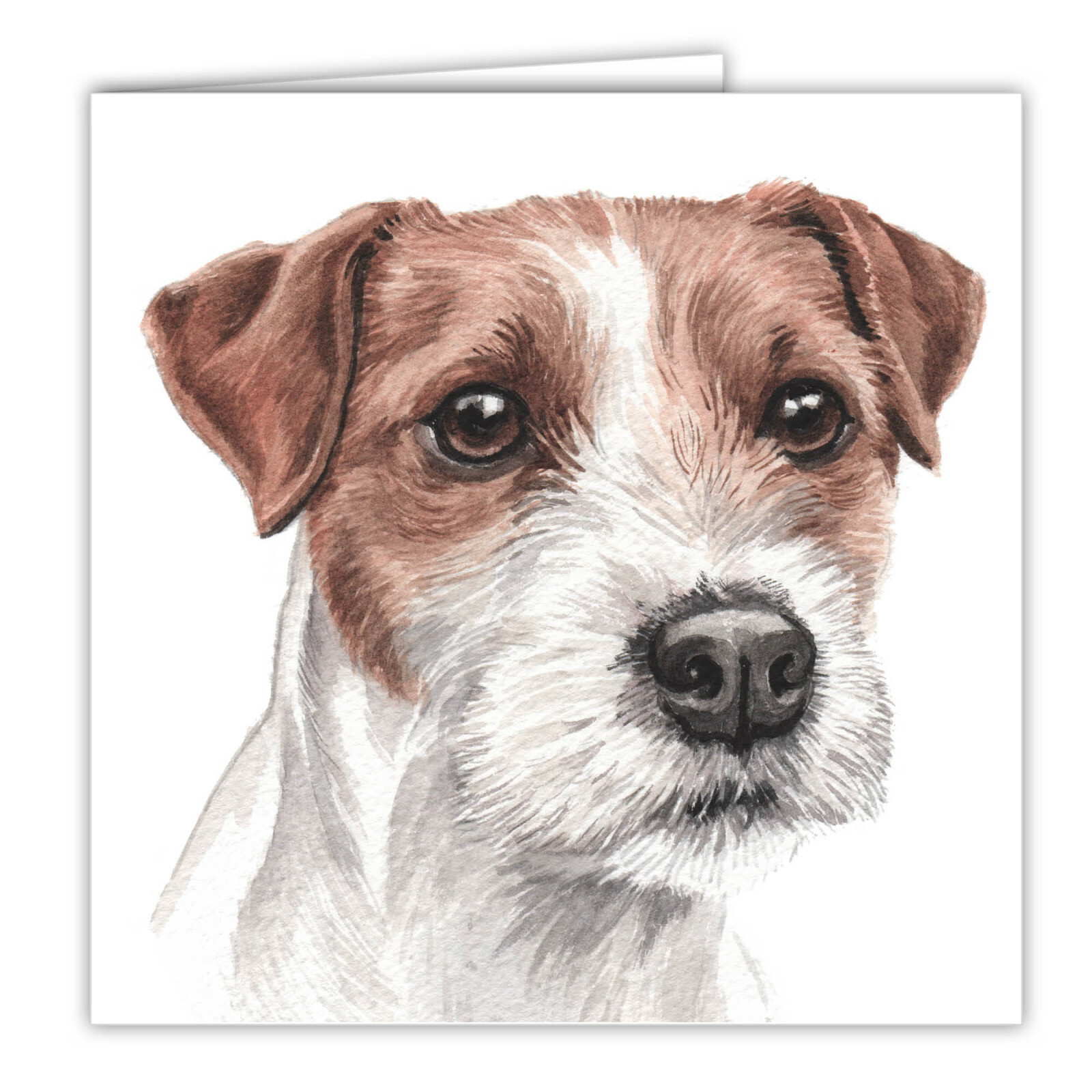 Parson Jack Russell Terrier greetings card dog blank card dog Jack Russells card