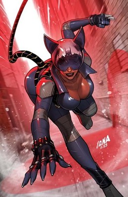 ABSOLUTE CATWOMAN #1 VARIANT CVR B DAVID NAKAYAMA CARD STOCK VARIANT DC COMICS